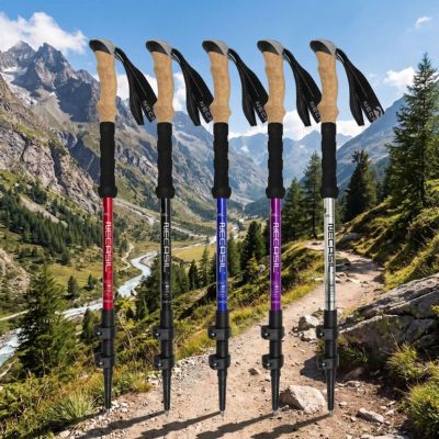 Bâtons de marche cinq coloris trekking