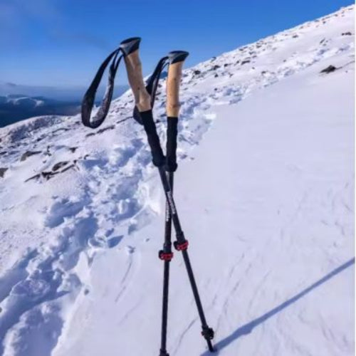 Bâtons de marche dans les montagnes enneigées