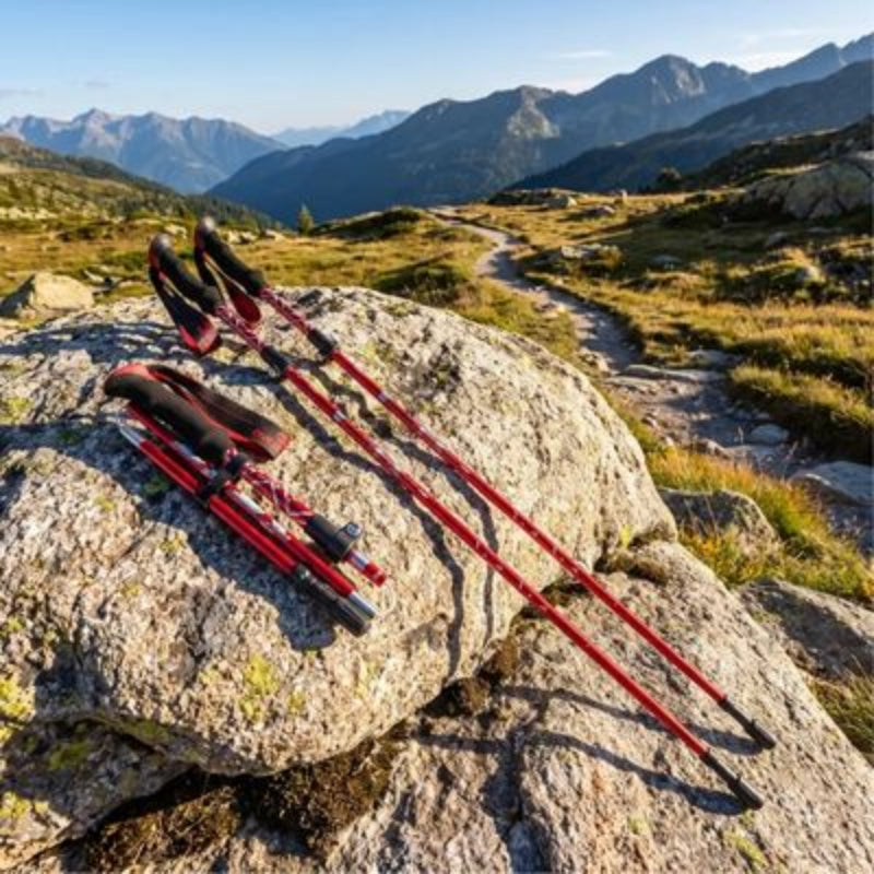 Bâtons de marche démonstration en sentier rocheux 