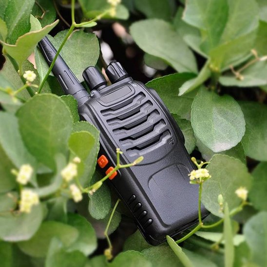 Talkie walkie reposant dans des feuilles de laurier